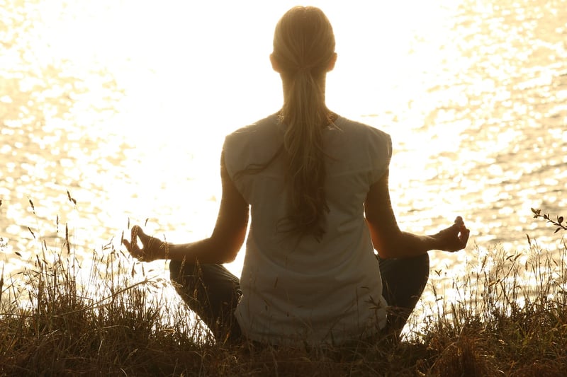 Tai Chi Harmony